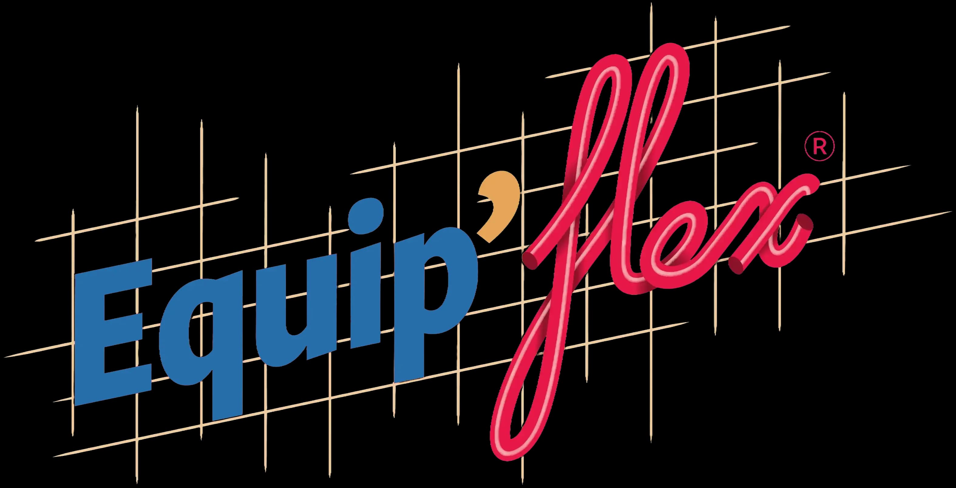Logo Equip'Flex pneumatique